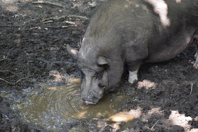 被对方后防 被对方后防