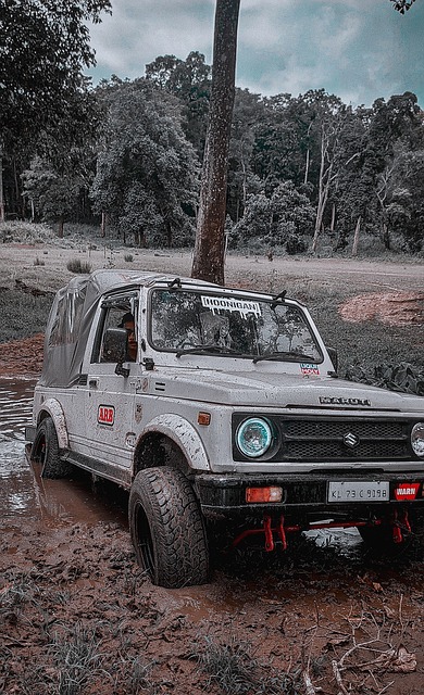 让球员保持 让球员保持