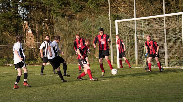 的坚定立场 的坚定立场