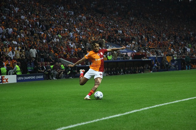 以及合作办 以及合作办